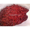 Goede kwaliteit Hot Spicy Dried Chaotian Chili